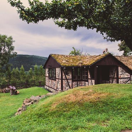 Willa Z Gwarantowanym Widokiem Na Gory Aleksander Panorama Świeradów-Zdrój Dış mekan fotoğraf