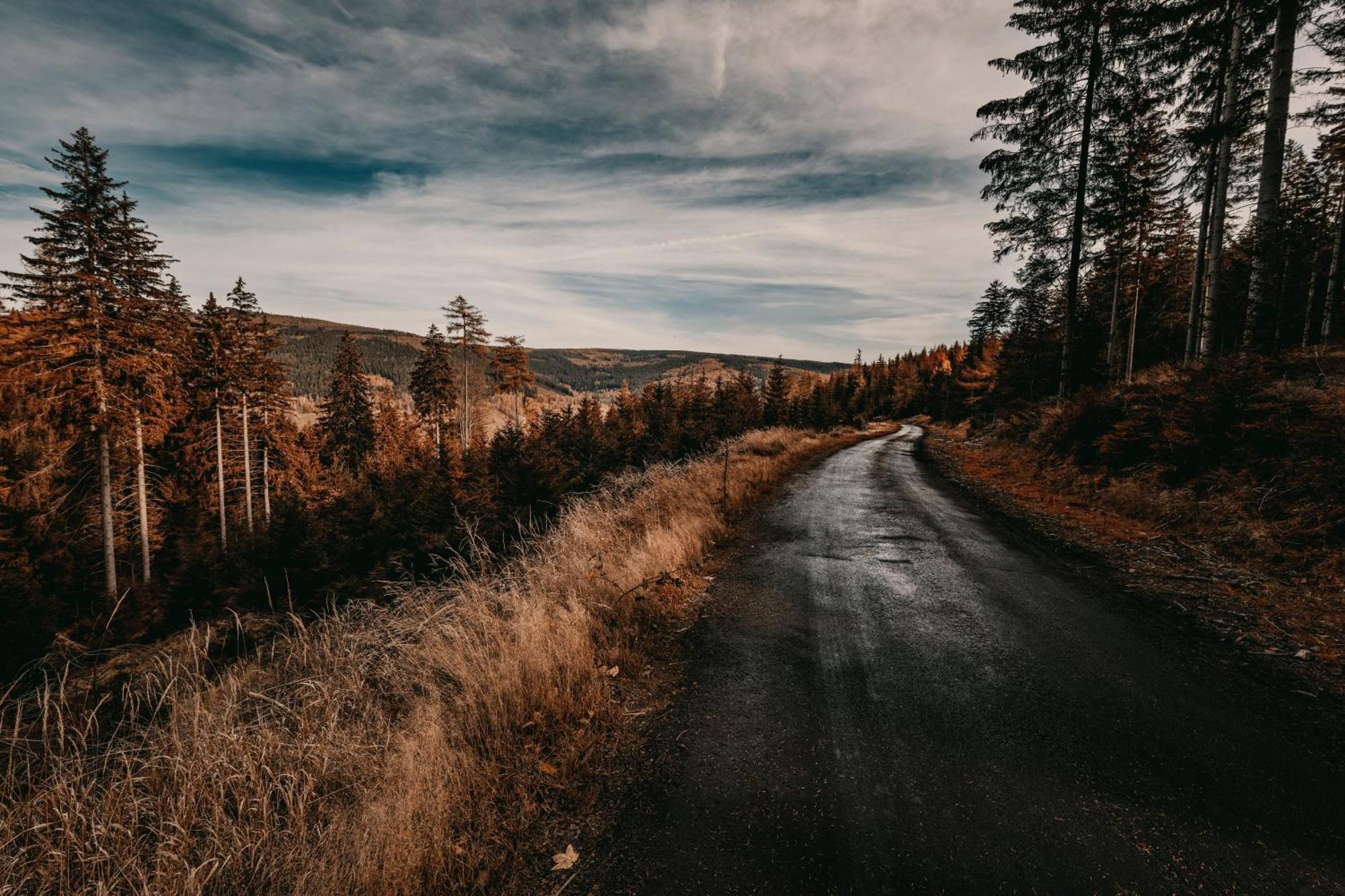 Willa Z Gwarantowanym Widokiem Na Gory Aleksander Panorama Świeradów-Zdrój Dış mekan fotoğraf
