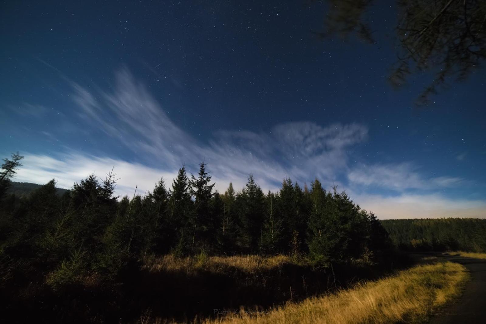 Willa Z Gwarantowanym Widokiem Na Gory Aleksander Panorama Świeradów-Zdrój Dış mekan fotoğraf